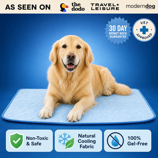 Protect Your DOG From Heatstroke with ICE-SILK COOLMAT