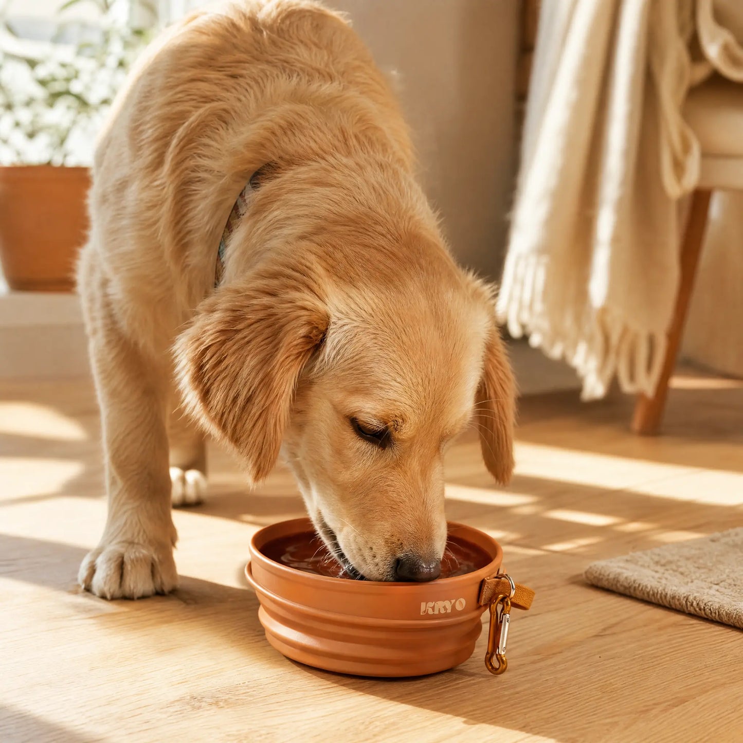 KRYO FAST-FOLDING BOWL