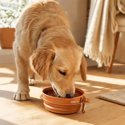 KRYO FAST-FOLDING BOWL
