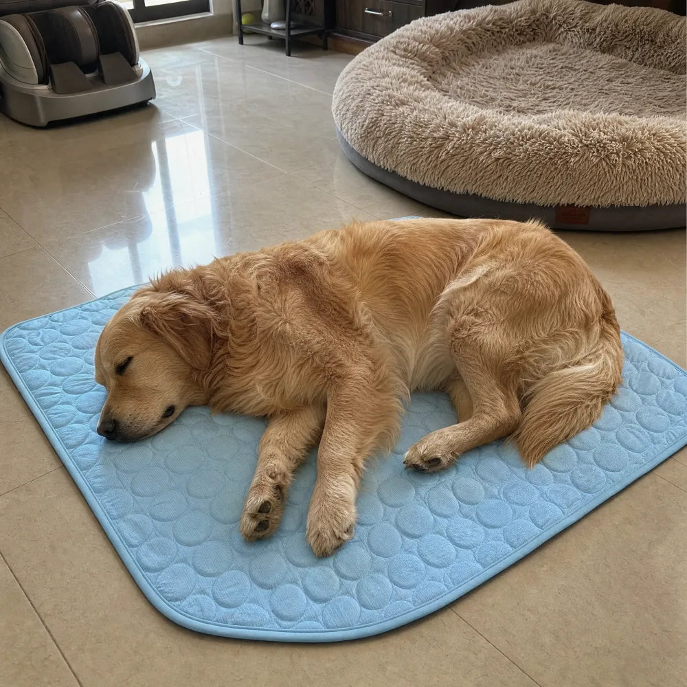 A Golden Retriever asleep on a blue ice silk cooling mat on a tile floor, his plush dog bed empty next to him